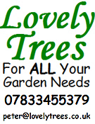 Lovely Trees