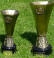 Internet Fans Player of the Year 2008/09