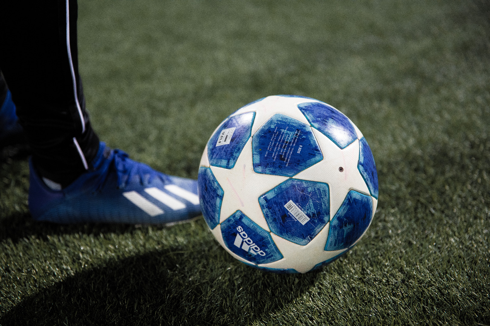 Why the Scottish Championship Is So Difficult to Predict