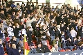 Fans Survey on Pyrotechnics
